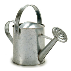 Cink öntözőkanna OASIS, 2 l