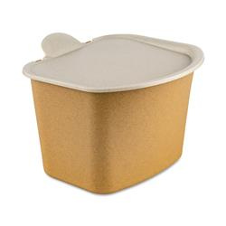 Organikus hulladékgyűjtő, BIBO szemetes, kis szemetes, 3 l, KOZIOL, természetes fa