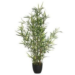 Művirágok cserépben, 90 cm magas bambuszfa.