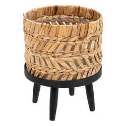 EXOTIC PANAMA vízi hibrid hínár cserép, Ø 25 cm