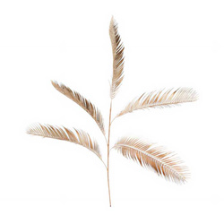 Arany levelek a GOLD vázához