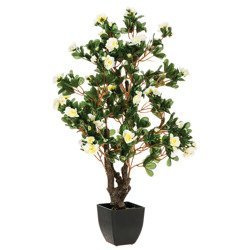 Művirágok az erkélyre, azálea, 81 cm