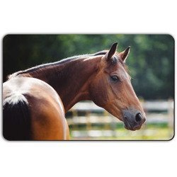 Kenyeres vágódeszka, Lóimádó lányoknak, 23 x 14 cm, NE FELEDD, Lóimádó lányoknak