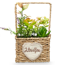 Műanyag pozsgások fonott kosárban LOVE, 12 x 21 cm