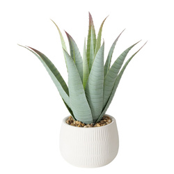 Műnövény aloé MONDRAGO cserépben, 29 cm