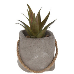 Műnövény cement cserépben, Ø 8 cm