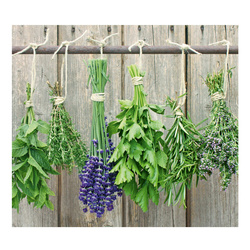 Üveg védőlap LAWENDA a tűzhelyre – nagy, ZELLER, 10-es minta