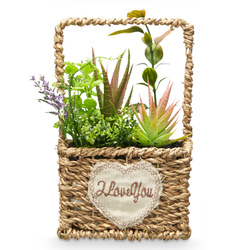 Műanyag pozsgások fonott kosárban LOVE, 12 x 21 cm