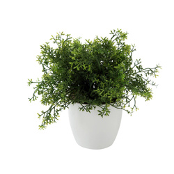 Műnövény fehér cserépben, Ø 15 cm