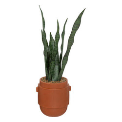 Műnövény cserépben, kígyónövény, 70 cm