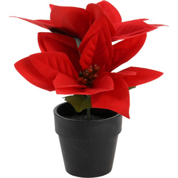 Műanyag karácsonyi csillag cserépben, magassága 18 cm