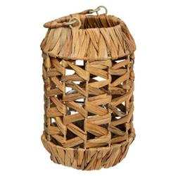 Díszlámpás vízi hínárral, Ø 16 cm