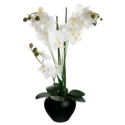Műanyag orchidea fekete cserépben, 50 cm
