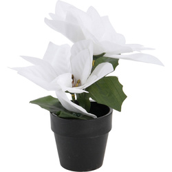 Műanyag karácsonyi csillag cserépben, magassága 18 cm