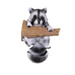 raccoon