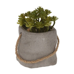 Műnövény cement cserépben, Ø 8 cm