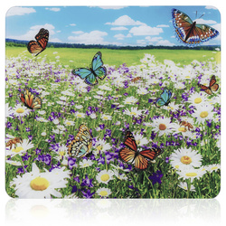 Üveg főzőlap, 56 x 50 cm, Maximex