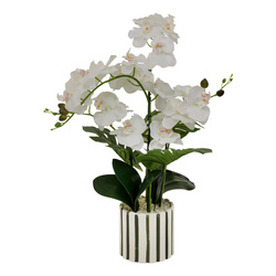 Mesterséges orchidea csíkos kerámia cserépben ASIA, 50 x 81 cm
