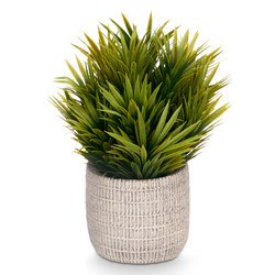 Műanyag pozsgás növény cserépben FEGREE, Ø 10 cm