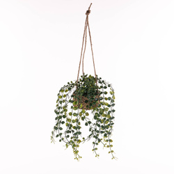 PATRI függő növény Ø 14 cm természetes rostokból készült cseréppel