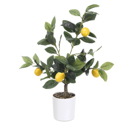 Dekoratív citromfa, 58 cm