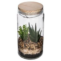 Üvegházban lévő pozsgás növények, műnövények, Ø 11 x 22 cm