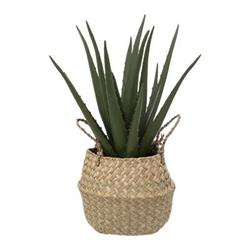 Műnövény ALOE kosárban, 37 cm