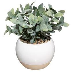 Műnövény cserépben, Ø 12,5 cm