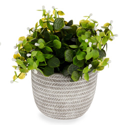 Műnövény cserépben, Ø 20 cm