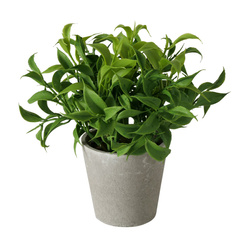 Mesterséges növény cementedényben PÉFN, 17 cm