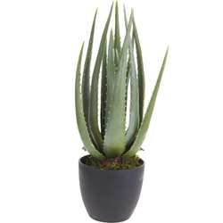 Mesterséges aloe növény, 45 cm