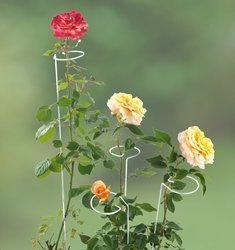 2 az 1-ben virágtartó, 5 darab