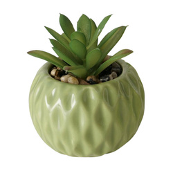 MALUHA műanyag pozsgás növény cserépben, 10,5 cm