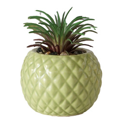 Mesterséges pozsgás MALUHA cserépben, 10,5 cm