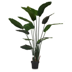 Mesterséges Strelitzia NICOLAI cserépben, 160 cm