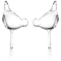 Üveges öntöző a növények locsolásához PTAK - 2 darab a csomagban