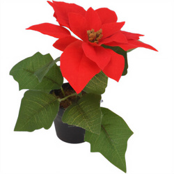 Betlehemi csillag, művirág, 19 cm