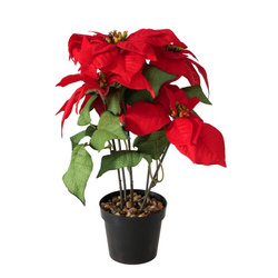 Műanyag betlehemi csillag cserépben, magassága 40 cm