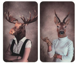 Üveg védőlapok a tűzhelyhez - 2 db, WENKO