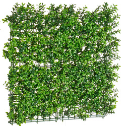 Műsövény, 50 x 50 cm