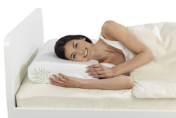 Aloe-Vera párna, aloe kivonat, 60 x 40 x 12 cm