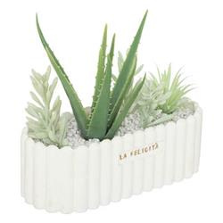 Műnövények: aloé és pozsgás növények Rivi kerámiacserepében, magasság: 20 cm