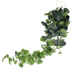 Mesterséges lógó növény, BOROSTYÁN, 56 cm