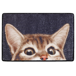 CAT ajtóelőszoba, 60 x 40 cm