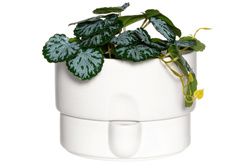 Virágcserép öntözőrendszerrel, Ø 21 cm