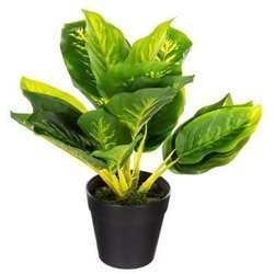 Műnövény cserépben JUNGLE, 30 cm