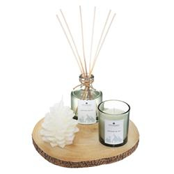 WILD SCENT illatcsomag