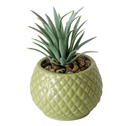 MALUHA műanyag pozsgás növény cserépben, 10,5 cm