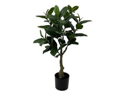 Műnövény gumifának, 69 cm