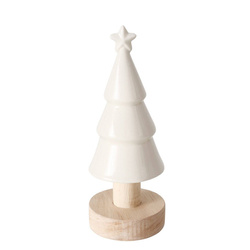 Kamionfa állványon, 15 cm